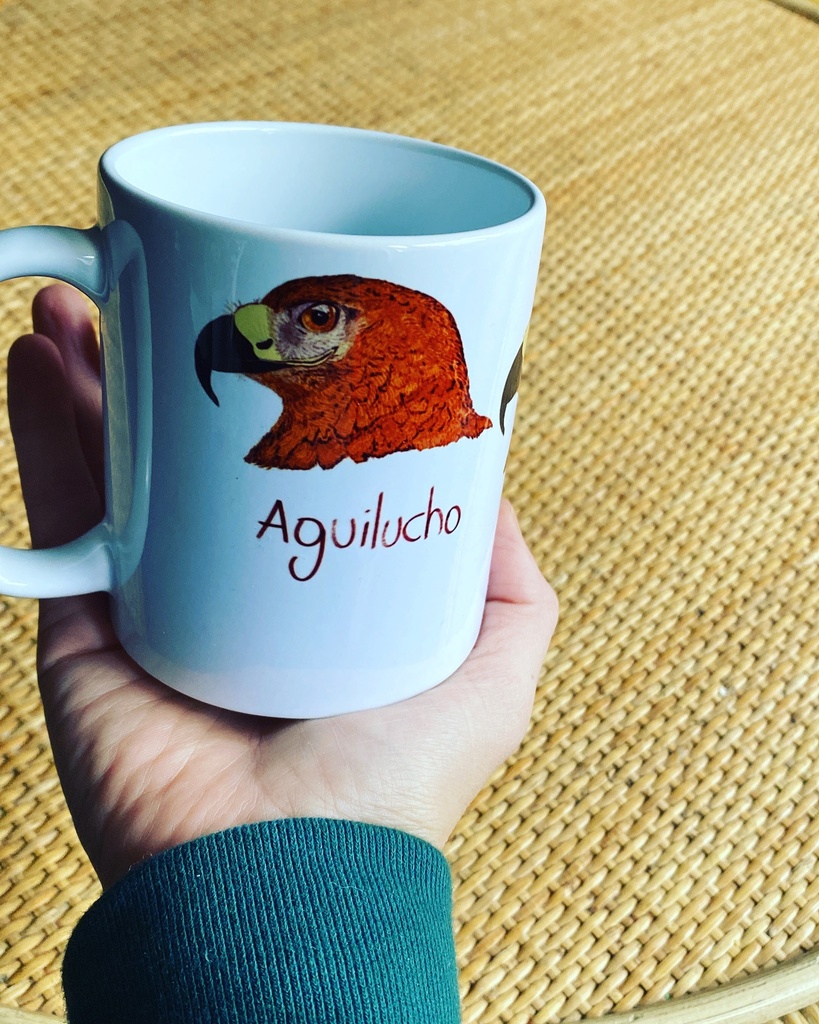 Tazón Aguilucho